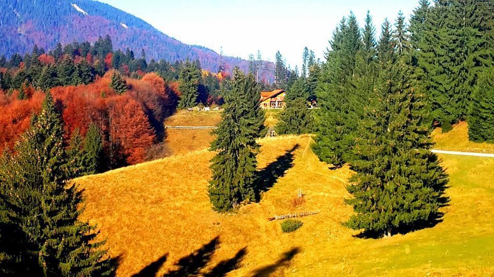 Отель Cabana Poiana Secuilor Предял Экстерьер фото