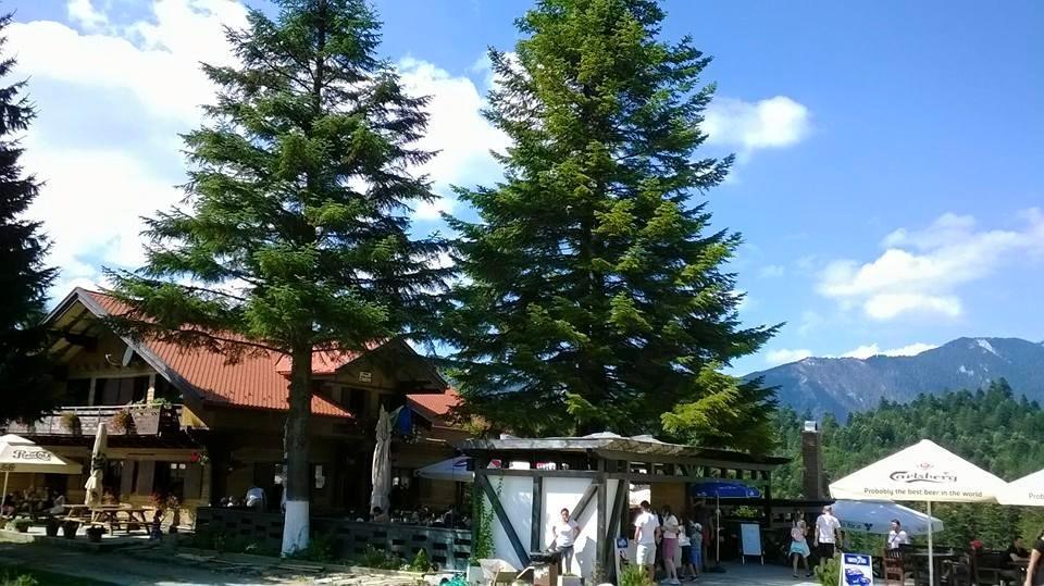 Отель Cabana Poiana Secuilor Предял Экстерьер фото